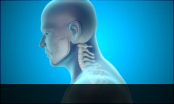 울산자생한방병원 목질환 일자목증후군-정상적인 C자형 목뼈 모습입니다.
